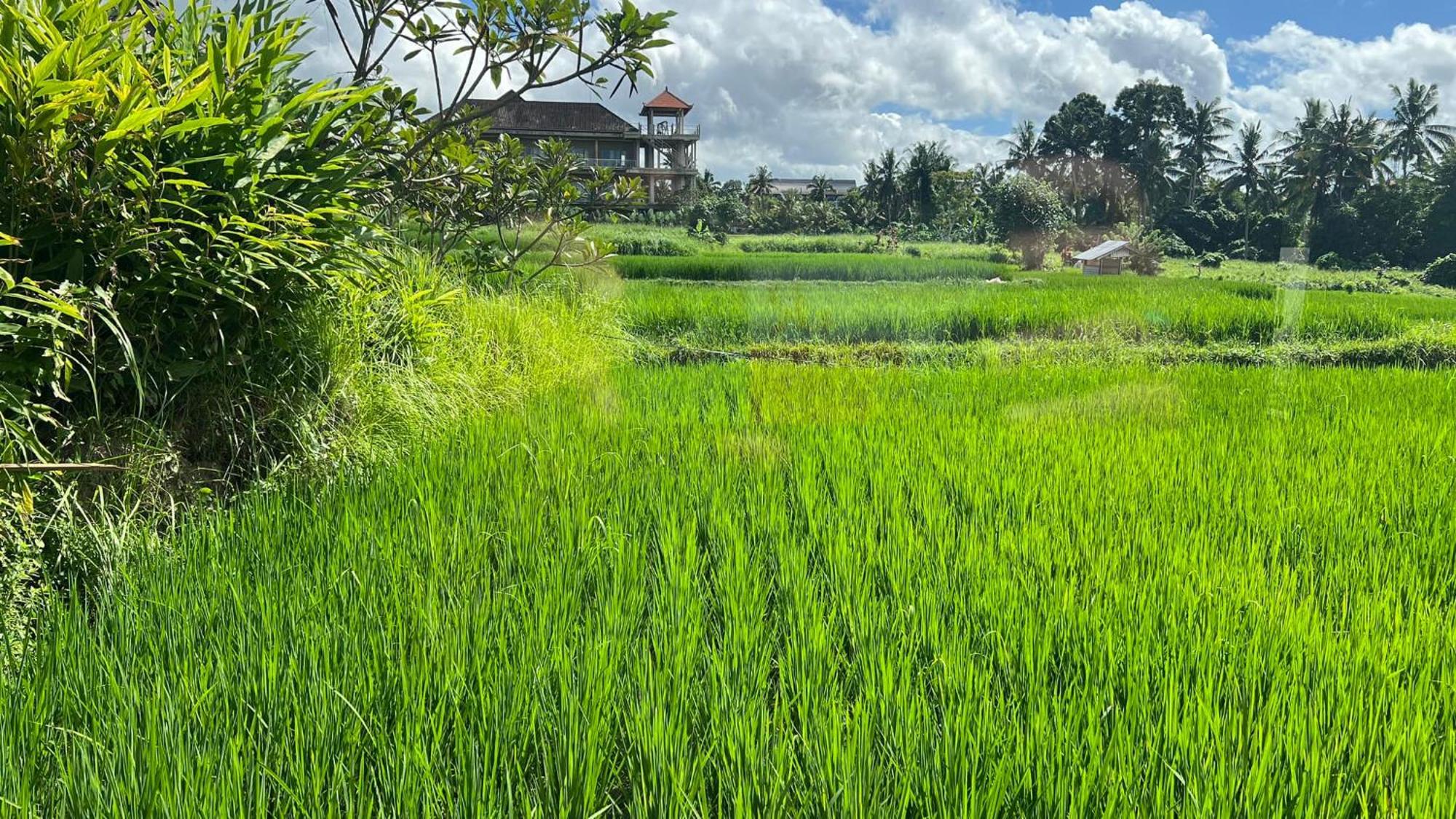 Villa Karma Ubud  Exterior photo